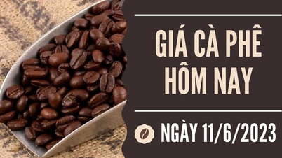 Tăng cao nhất 3.600 đồng/kg trong tuần qua