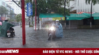 Da Nang closes Son Tra peninsula, lets students stay home from school