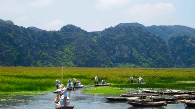 Ngao du đầm Vân Long, ngắm đảo cò độc đáo của Ninh Bình