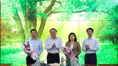 Bổ sung 2 Uỷ viên Ban Thường vụ Đảng uỷ Bộ TN&MT nhiệm kỳ 2020-2025