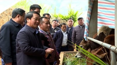 Yên Bái Triển khai các giải pháp thực hiện có hiệu quả Chương trình MTQG 1719