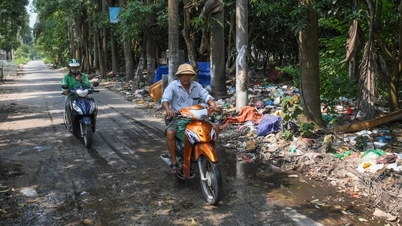 Khu sinh thái giữa Thủ đô xuống cấp, rác thải bủa vây, thành nơi nuôi gà