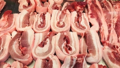Giá heo hơi chưa dứt đà giảm
