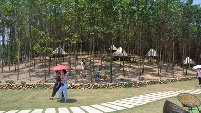 How to manage small eco-tourism and experiential tourism models?