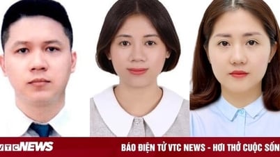 Bốn ứng viên 9X trở thành tân phó giáo sư trẻ nhất 2024