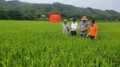 Đầm Hà: Phát huy thành quả của quá trình xây dựng NTM