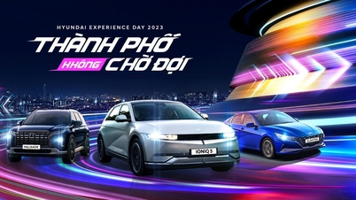 ថ្ងៃបទពិសោធន៍ពិសេសឆ្នាំ 2023 នឹងមកដល់ក្នុងពេលឆាប់ៗនេះ