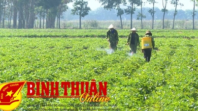 Nhiều chuyển biến sau nửa nhiệm kỳ Đại hội Đảng