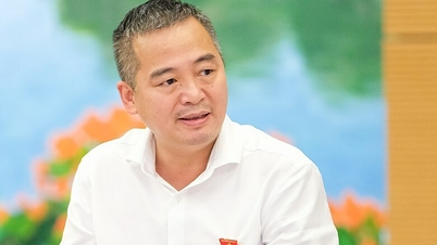 PGS Nguyễn Lân Hiếu: Việt Nam đủ điều kiện công bố hết Covid-19