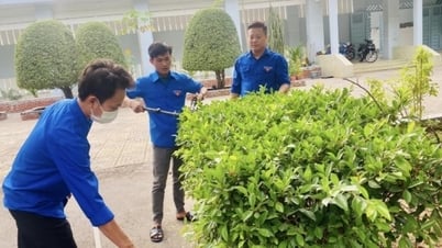 ផ្សព្វផ្សាយចលនា "ដើម្បីការិយាល័យពណ៌បៃតង ស្អាត ស្អាត"