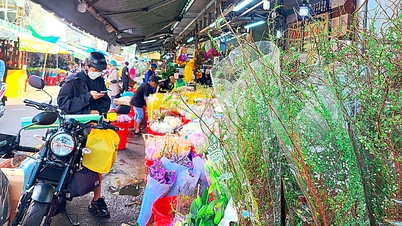 Chinesische Blumen dominieren den Tet-Markt