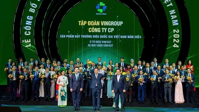 Vinhomes, VinFast 'ប្រមូលផលផ្លែផ្អែម' នៃម៉ាកសញ្ញាជាតិវៀតណាម 2024