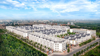 Experience trendy green living at Eurowindow Twin Parks before Gia Lam becomes a district