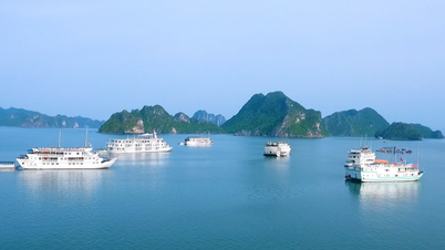 Quảng Ninh đưa du thuyền vịnh Hạ Long sang vịnh Bái Tử Long để khai thác