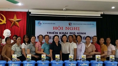 Tăng cường cơ chế, chính sách hỗ trợ bảo vệ môi trường, cấp nước sạch nông thôn