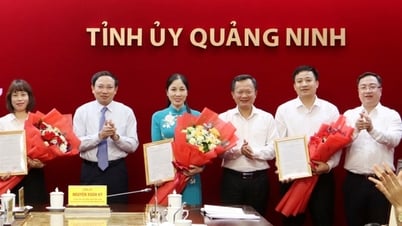 Quang Ninh appoints 3 deputy directors of the department through examination