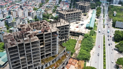 Hình ảnh dự án liên quan CEO Sông Đà - Thăng Long vừa bị tạm hoãn xuất cảnh