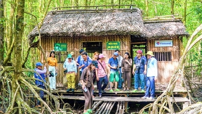 Ca Mau៖ អភិវឌ្ឍន៍ទេសចរណ៍ទៅជាវិស័យសេដ្ឋកិច្ចនាំមុខគេ