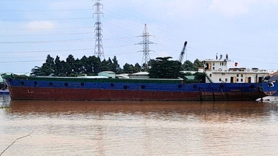 គ្រួសារជាង 38,000 នៅ Dong Nai បានបាត់បង់ថាមពលដោយសារគ្រោះថ្នាក់កប៉ាល់ដឹកទំនិញនៅលើទន្លេ។