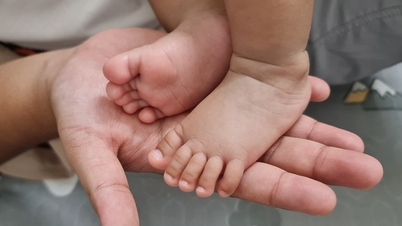 Quitter le travail pour s'occuper de l'enfant afin d'éviter la scène de la belle-fille se disputant avec sa belle-mère
