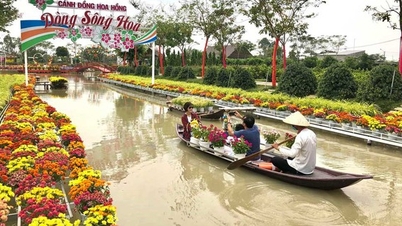 ដុងថាប បើកដំណើរទេសចរណ៍ដ៏ទាក់ទាញចំនួន ៤
