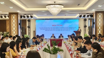 Vietnam ist entschlossen, die Umsetzung der Menschenrechte voranzutreiben