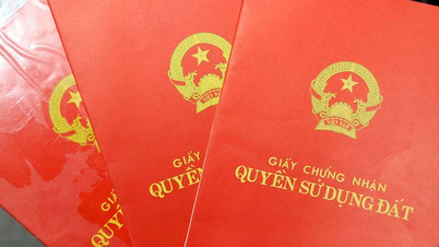 7 cases where red books will be canceled according to the 2024 Land Law