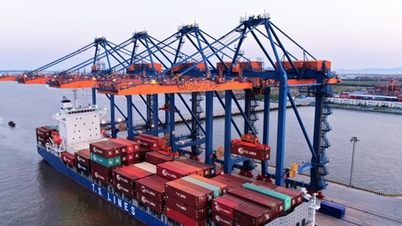 Động lực phát triển bền vững kinh tế biển Việt Nam