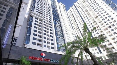Gia đình Chủ tịch TCH Đỗ Hữu Hạ sắp nhận 150 tỷ đồng cổ tức