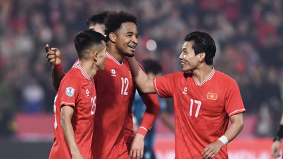 Vietnamesisches Team zieht ins Finale des AFF Cups ein: Alles geben und Thailand besiegen