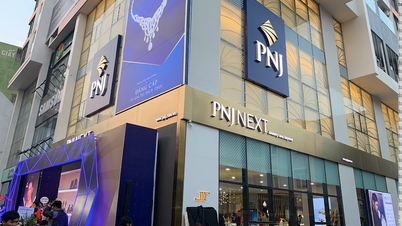 PNJ Gold, Silver និង Gemstones ត្រូវបានពិន័យ ហើយត្រូវបង់ពន្ធចំនួន 13 ពាន់លានដុង។