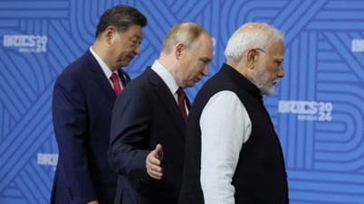 គោលដៅរបស់ BRICS មិនមែនត្រឹមតែ de-dollarization ទេ ប៉ុន្តែ de-Westernization។