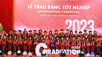សាកលវិទ្យាល័យ Ha Long ផ្តល់រង្វាន់ 15-30 លានដុងដល់បេក្ខជនដែលមានពិន្ទុខ្ពស់។