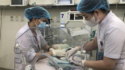 Nuôi sống thành công trẻ sơ sinh 24 tuần tuổi, nặng 600gram
