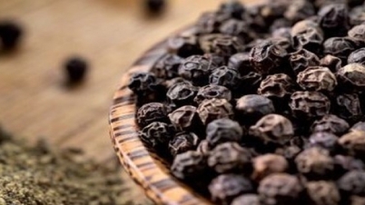 Thị trường lao dốc không phanh, nguyên nhân do đâu?