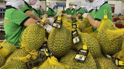 Vietnam - China import-export turnover exceeds 150 billion USD