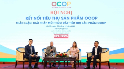 ដំណោះស្រាយដើម្បីបង្កើនការប្រើប្រាស់ និងធ្វើពិពិធកម្មបណ្តាញប្រើប្រាស់នៃផលិតផល OCOP