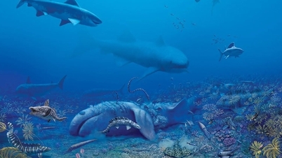 325-million-year-old shark reveals planet's history