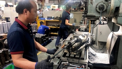 First 6 months of the year: Industrial production index increased in most localities