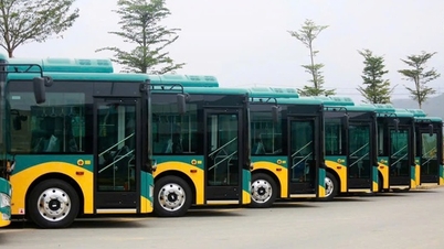 Chi tiết lộ trình 17 tuyến xe buýt điện kết nối metro số 1