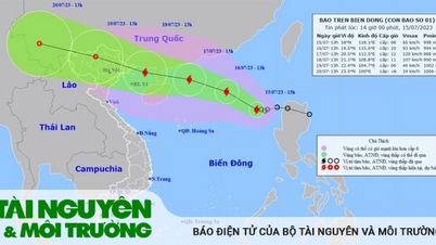 ព័ត៌មានព្យុះលេខ ១