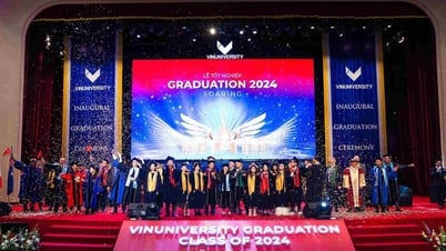 'ស្តង់ដាររបស់ VinUni ជំរុញការផ្លាស់ប្តូរសម្រាប់សាលារៀន'