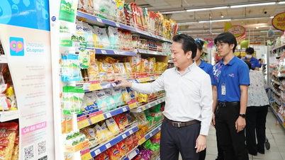 "Midwife" for Vietnamese product ecosystem to reach far