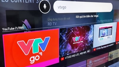 Ứng dụng VTVgo được Google định danh là ứng dụng của Chính phủ