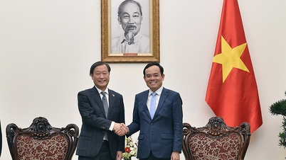 Deputy Prime Minister Tran Luu Quang receives JICA Vice President