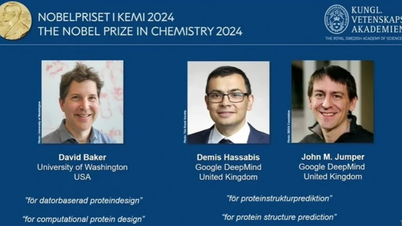 Nobel Hóa học 2024 vinh danh nghiên cứu về protein