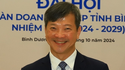 Ông Mai Hữu Tín tái cử chủ tịch Liên đoàn Doanh nghiệp Bình Dương