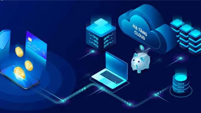 សេវាកម្ម Cloud ក្នុងស្រុកមានចំណែកទីផ្សារច្រើនជាង 20%