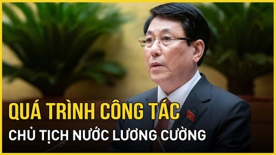 Tiểu sử, quá trình công tác Chủ tịch nước Lương Cường