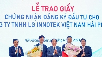 សាជីវកម្មបរទេសមួយ 'ចាក់' ប្រាក់ 1 ពាន់លានដុល្លារផ្សេងទៀតទៅក្នុង Hai Phong